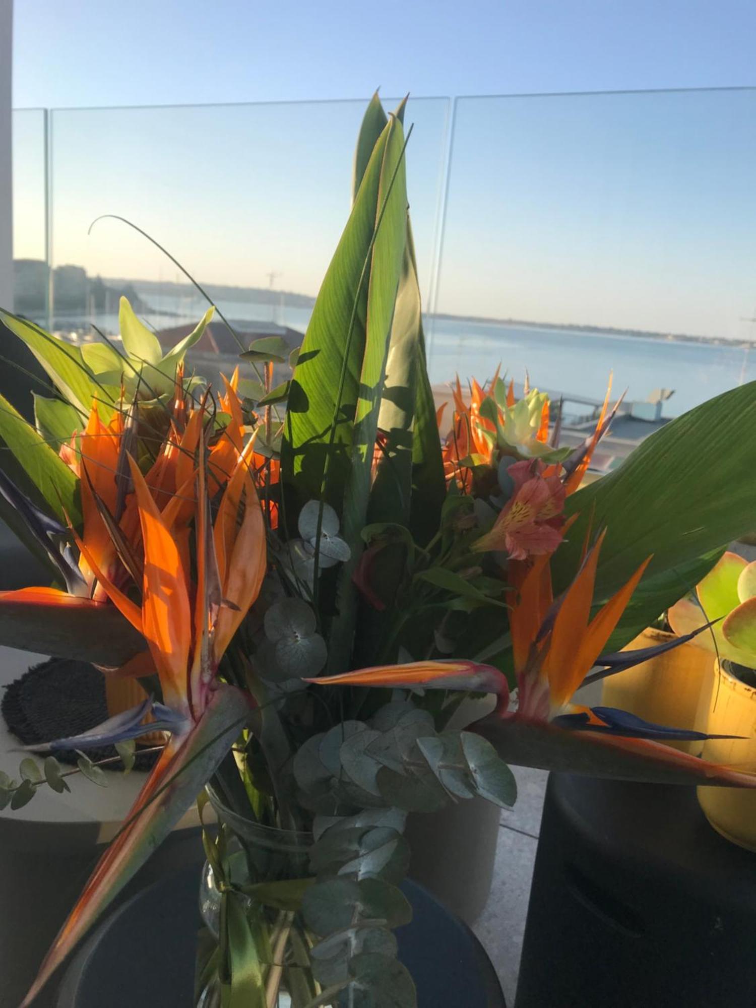 La Terrazza Sul Porto Bed and Breakfast Συρακούσες Εξωτερικό φωτογραφία