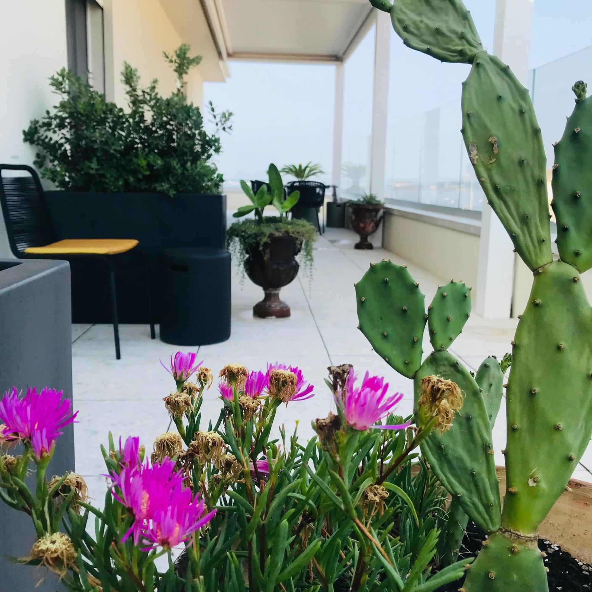 La Terrazza Sul Porto Bed and Breakfast Συρακούσες Εξωτερικό φωτογραφία